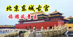 禁止进入操逼逼综合系列中国北京-东城古宫旅游风景区